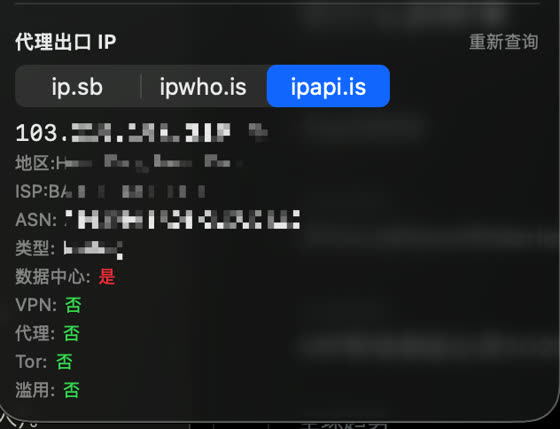 代理出口 IP 检测